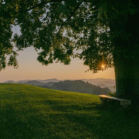 Vegan Health Hotel Sonnenberg Glutenfrei Schwellbrunn Buitenkant foto